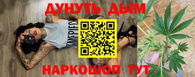 крисы Нальчик