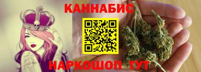 крисы Нальчик