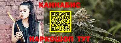 крисы Нальчик