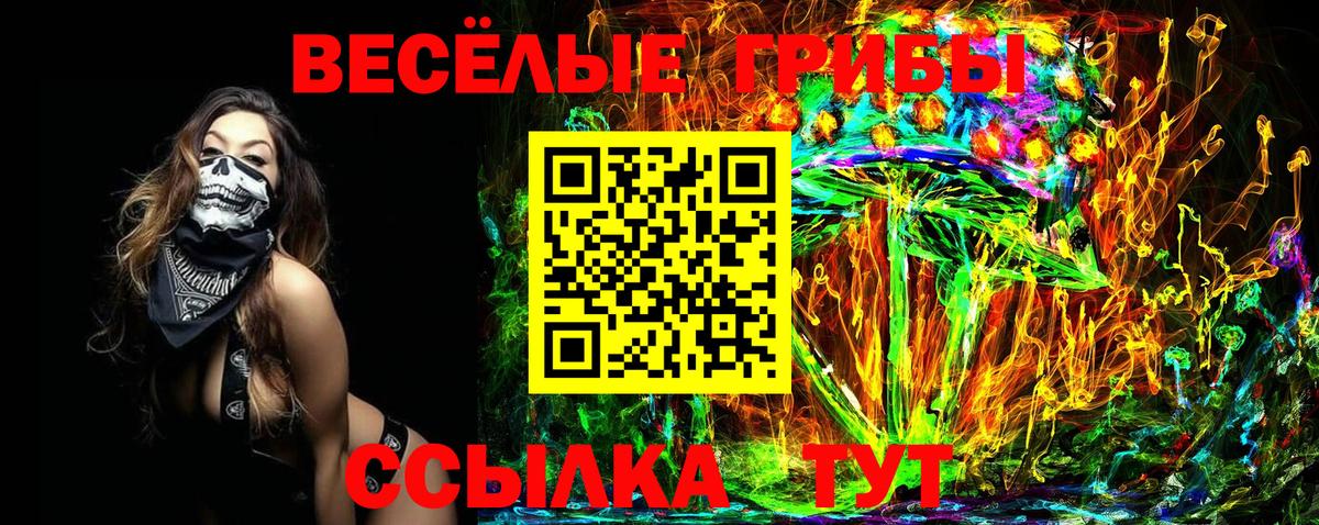 Воркута  Галлюциногенные грибы прущие грибы  Вход с VPN 